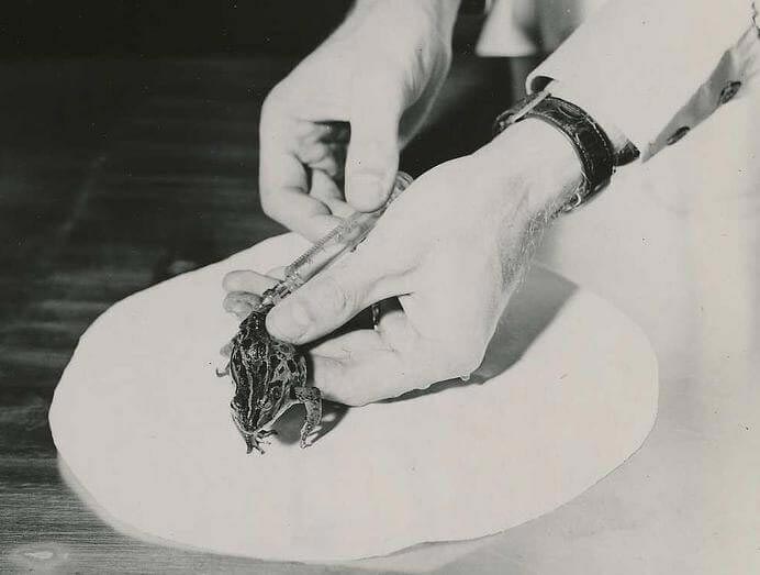 познавательные факты, факты обо всём 