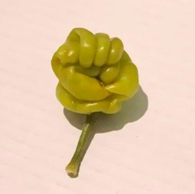 фрукты и овощи похожие на нечто другое, смешные фрукты и овощи