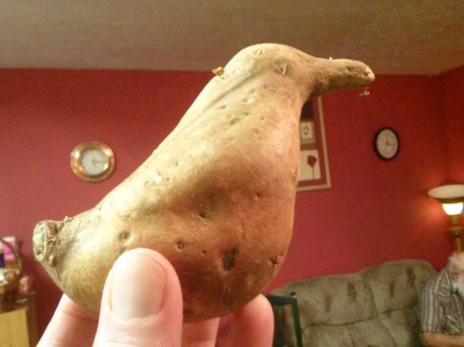 фрукты и овощи похожие на нечто другое, смешные фрукты и овощи