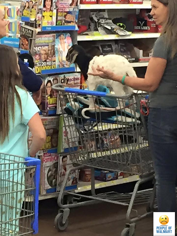 people of walmart, странные американцы, наряды посетителей американских супермаркетов