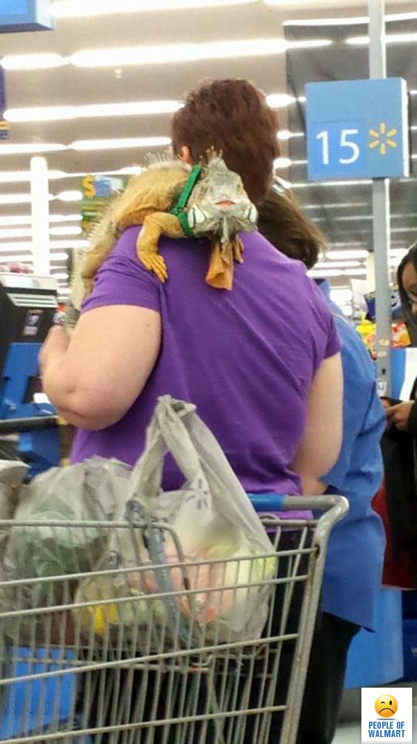 people of walmart, странные американцы, наряды посетителей американских супермаркетов
