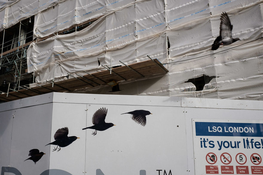  EyeEm Photography Awards 2017, финалисты EyeEm Photography Awards