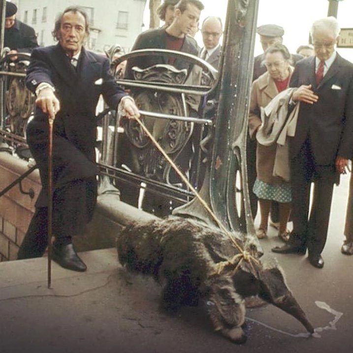 30 абсолютно сумасшедших людей, которых можно встретить в американском метро сумасшедшие люди американское метро, дичь американское метро, смешные случаи в американском метро