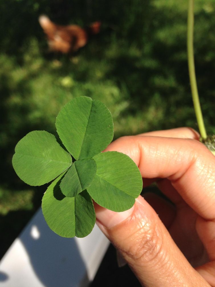 повезло, фотографии везунчиков, везение фото, фото людей которым повезло