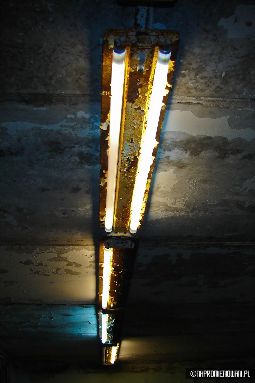 включили свет в Припяти, польские сталкеры в Припяти, Naprowmieniowani