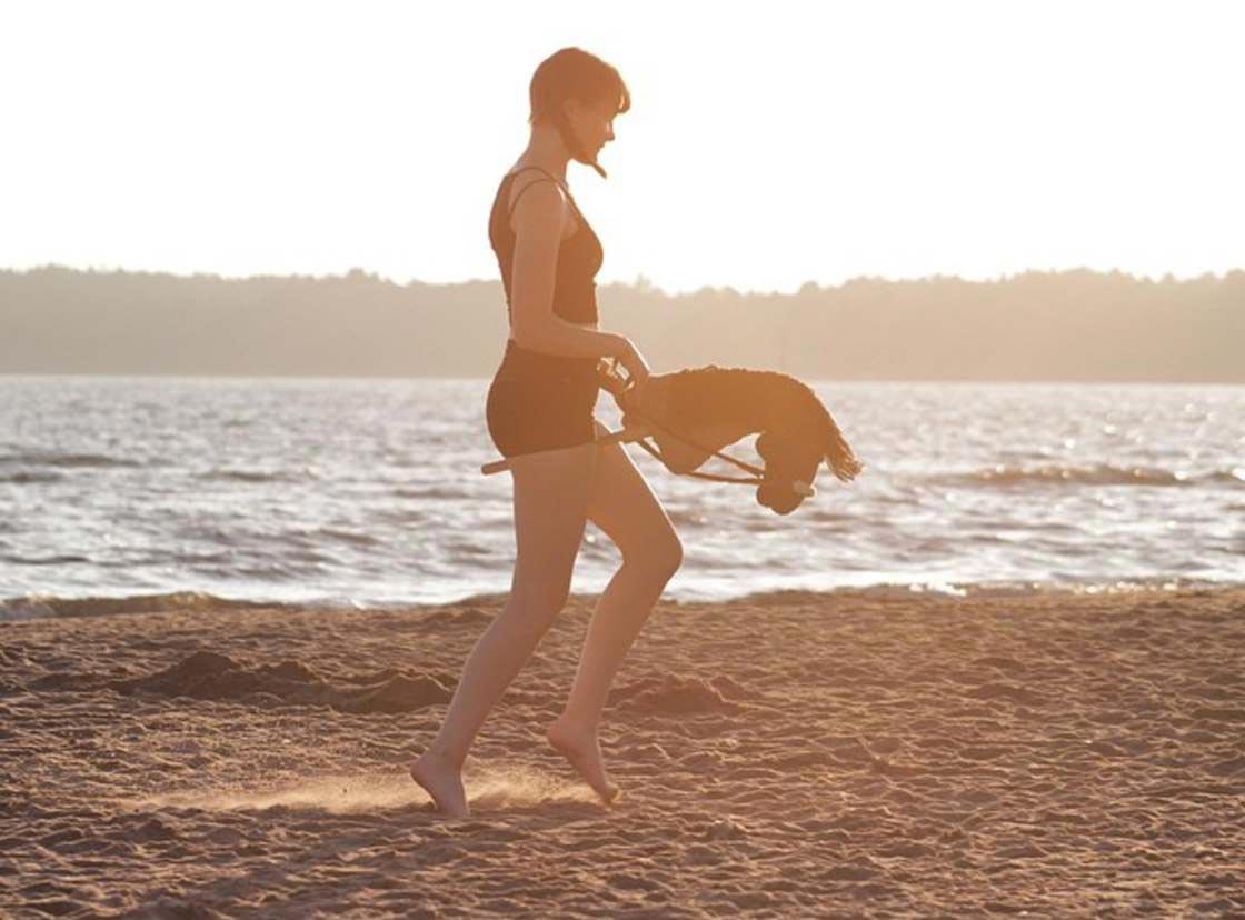 езда на лошади на палке, Hobbyhorse, езда на игрушечной лошади спорт