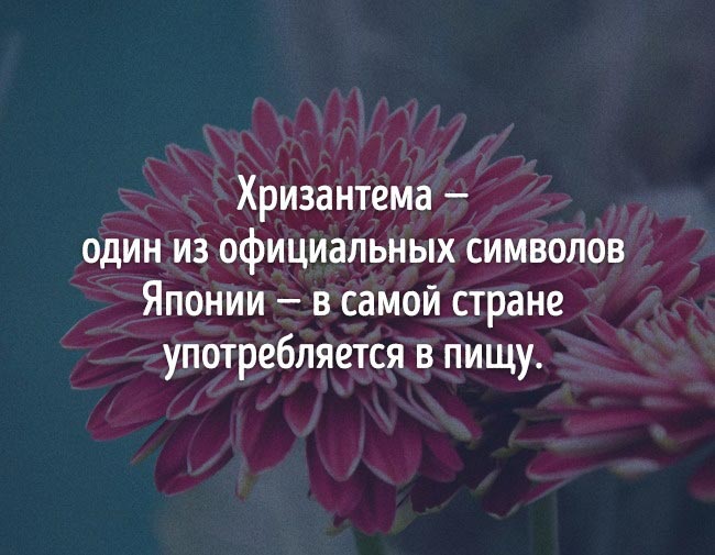 неожиданные факты о еде, познавательные факты о еде