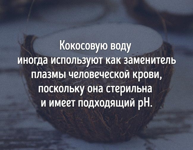 неожиданные факты о еде, познавательные факты о еде