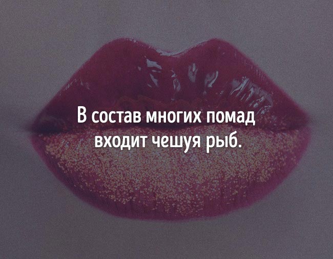 неожиданные факты о еде, познавательные факты о еде