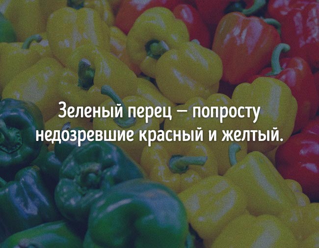 неожиданные факты о еде, познавательные факты о еде