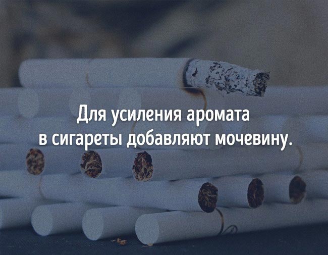 неожиданные факты о еде, познавательные факты о еде