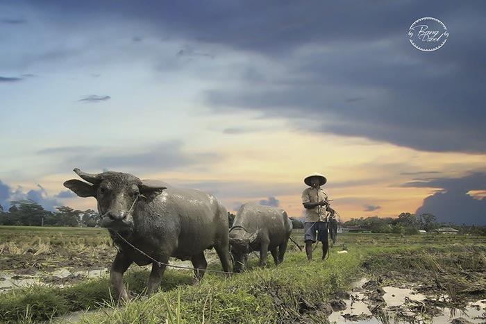 фотограф без рук, фотограф без рук и ног, Ахмад Зулкарнаин, Achmad Zulkarnain