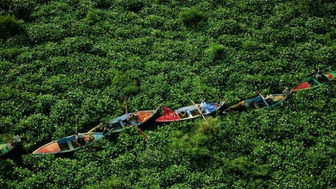 фото выглядят как фотошоп, пояснения к фотографиям