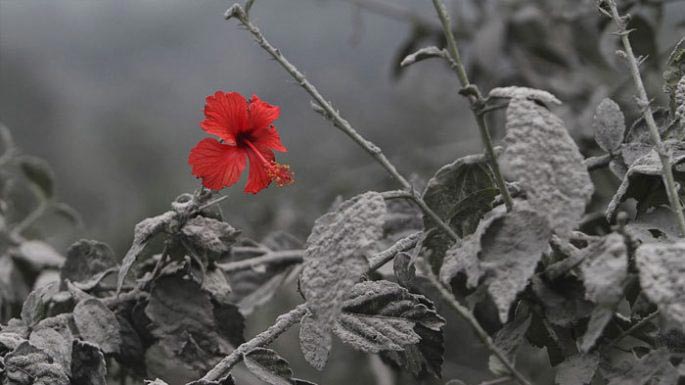 фото выглядят как фотошоп, пояснения к фотографиям