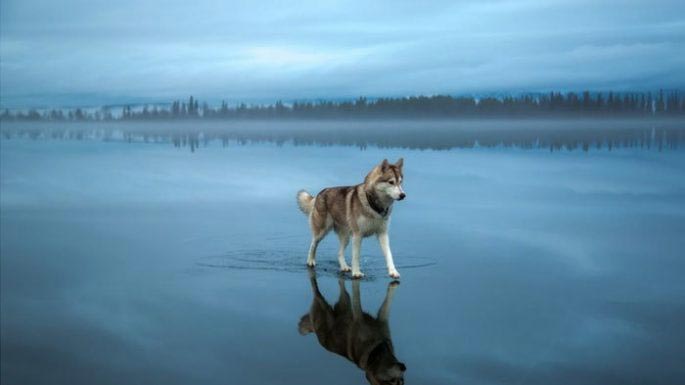 фото выглядят как фотошоп, пояснения к фотографиям