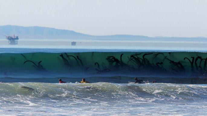 фото выглядят как фотошоп, пояснения к фотографиям