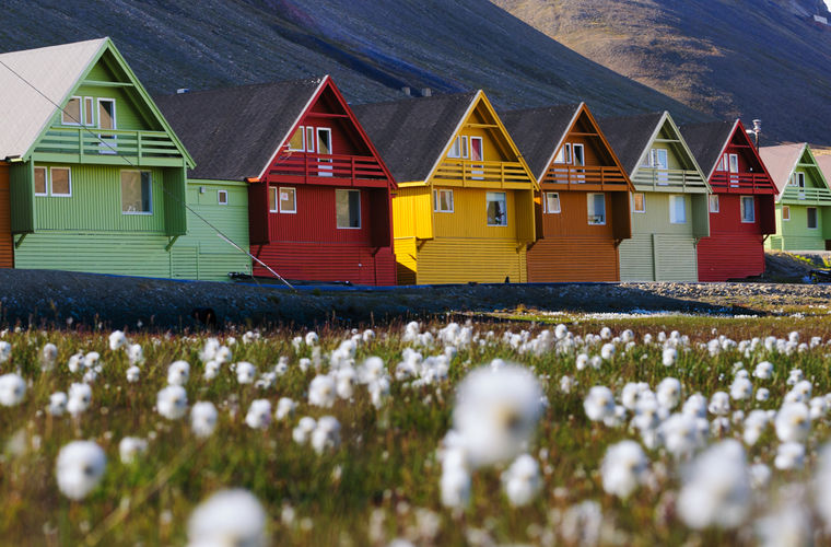 6 нелепых законов из разных стран мира и причины их появления странные законы, нелепые законы