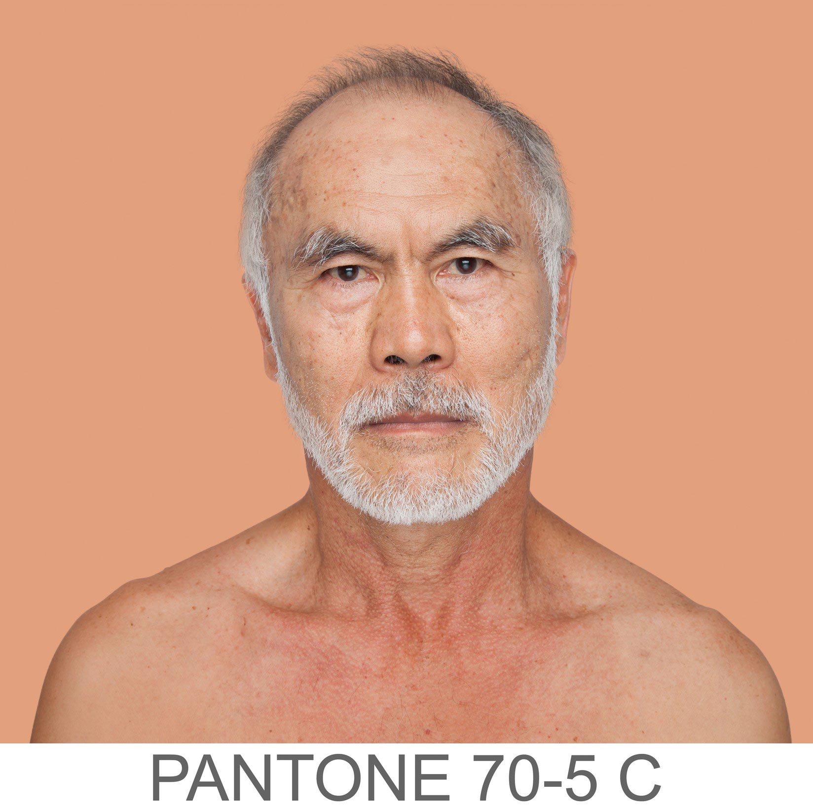 Человеческая палитра,  200 оттенков человеческой кожи,  Humanae, Анжелика Дасс