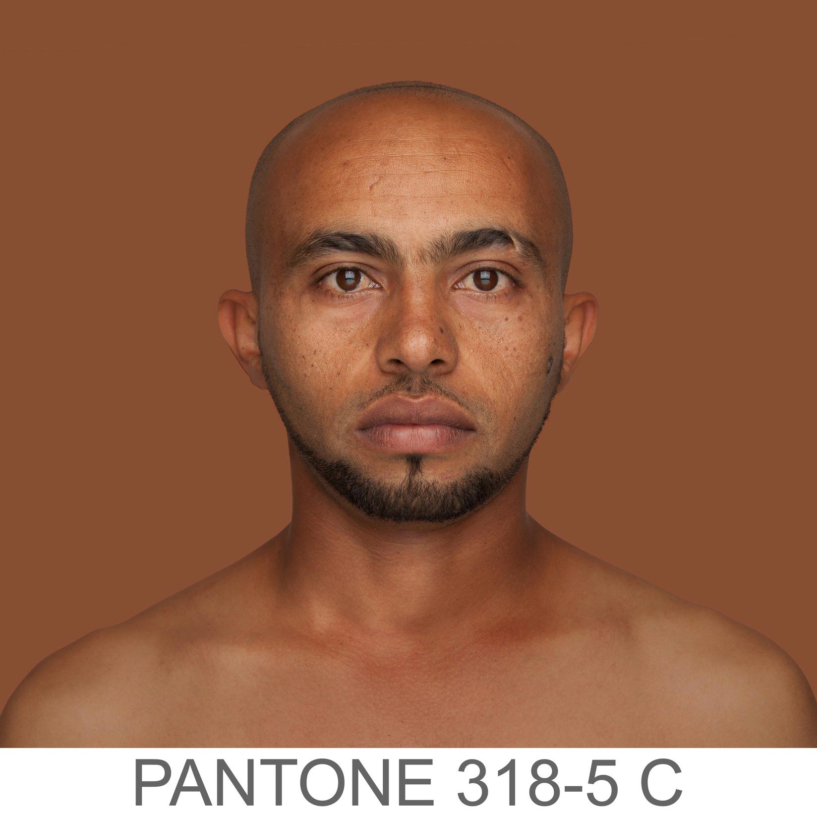 Человеческая палитра,  200 оттенков человеческой кожи,  Humanae, Анжелика Дасс