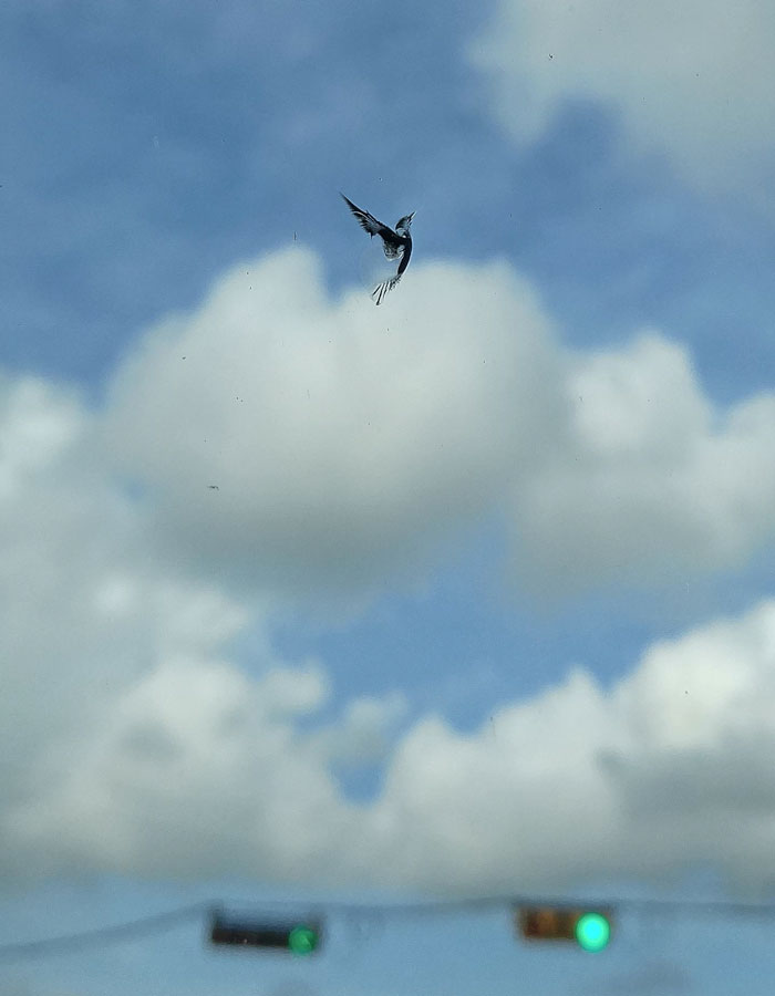 фотографии без фотошопа, без использования фотошопа