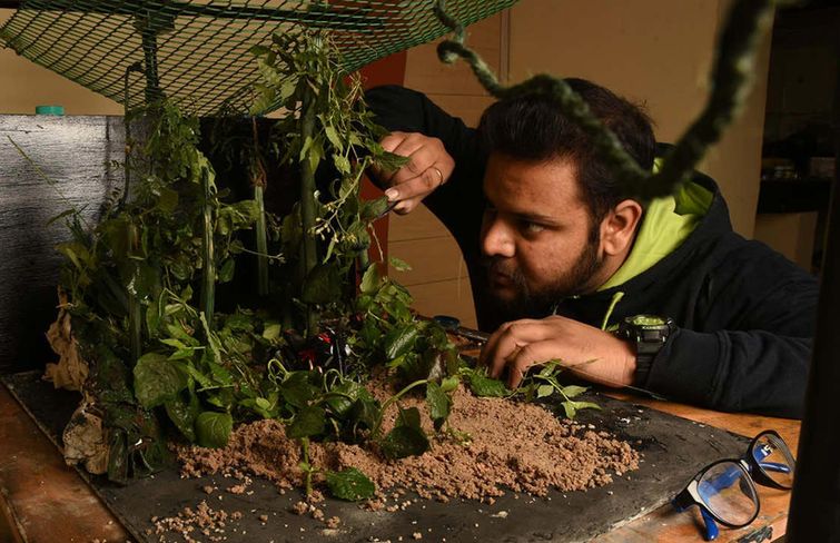 Ватсал Катария, Vatsal Kataria, фотографирует игрушечные модели автомобилей, реалистичные фото авто снимая игрушечные модели