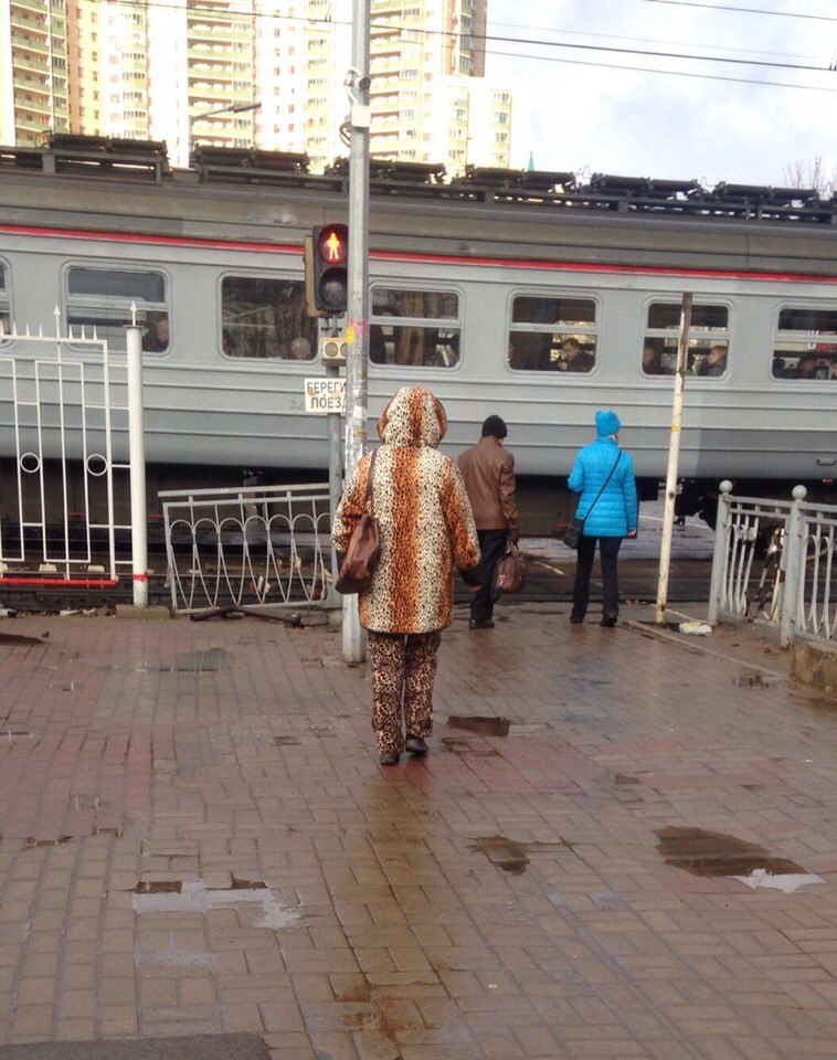 Интеллигентное безумие или необычная мода петербургских улиц мода петербургских улиц, безумная мода Питера