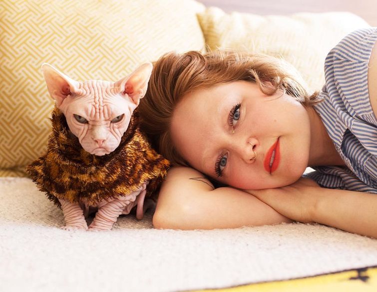 женщины и кошки, девушки со своим кошками, Брайан Виллс, Brianne Wills