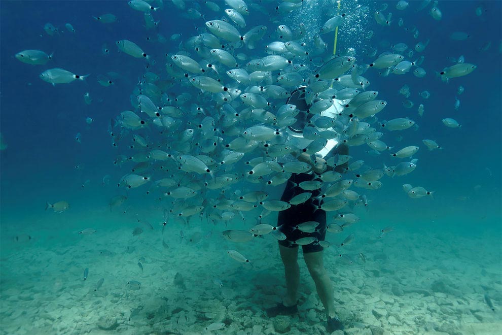 подводный парка в Хорватии, пешком по морскому дну, подводный парк Пула Хорватия