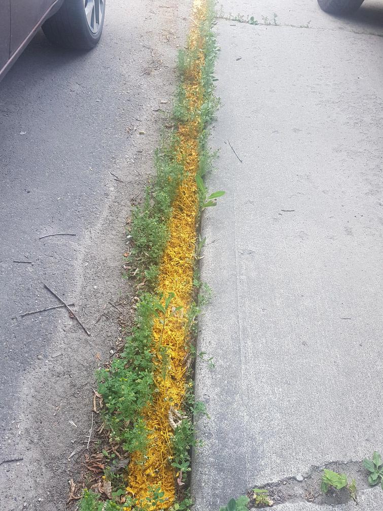 я всё сделал босс, провалы рабочих, оплошности работников, смешные оплошности работников