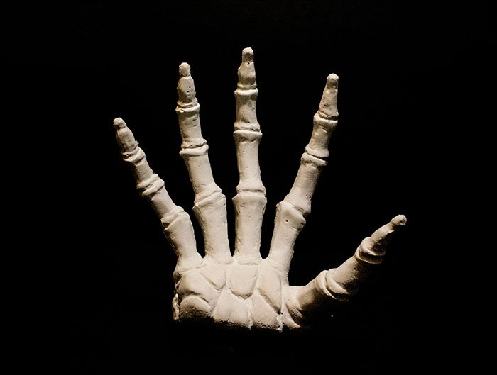 свеча в виде руки, свеча в виде отрубленной руки, свечи на хэллоуин, страшные свечи