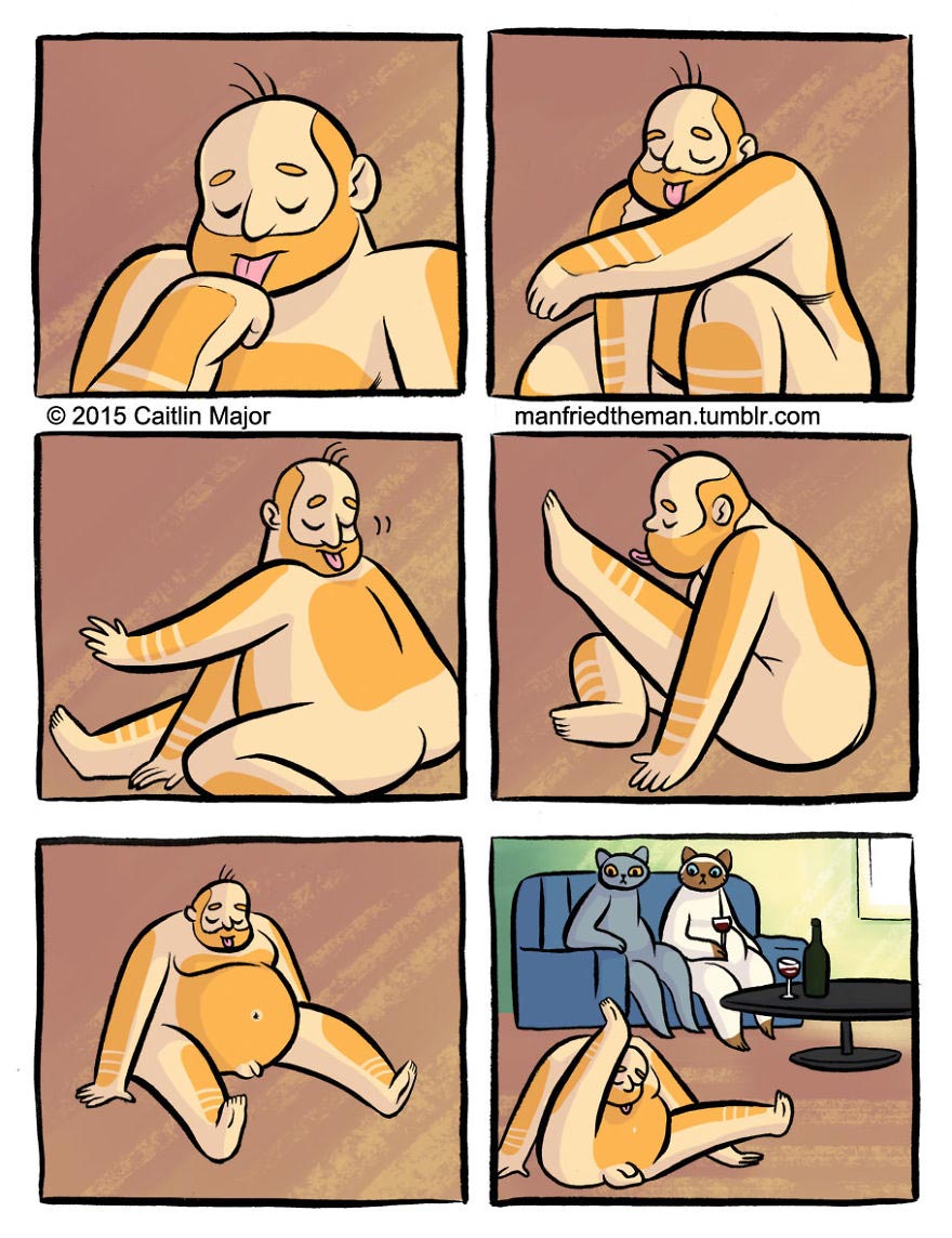 если бы кошки и люди поменялись местами, Manfried the Man, Человек по имени Манфред, Кейтлин Мейджор, Caitlin Major