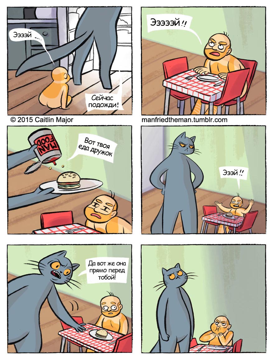 если бы кошки и люди поменялись местами, Manfried the Man, Человек по имени Манфред, Кейтлин Мейджор, Caitlin Major