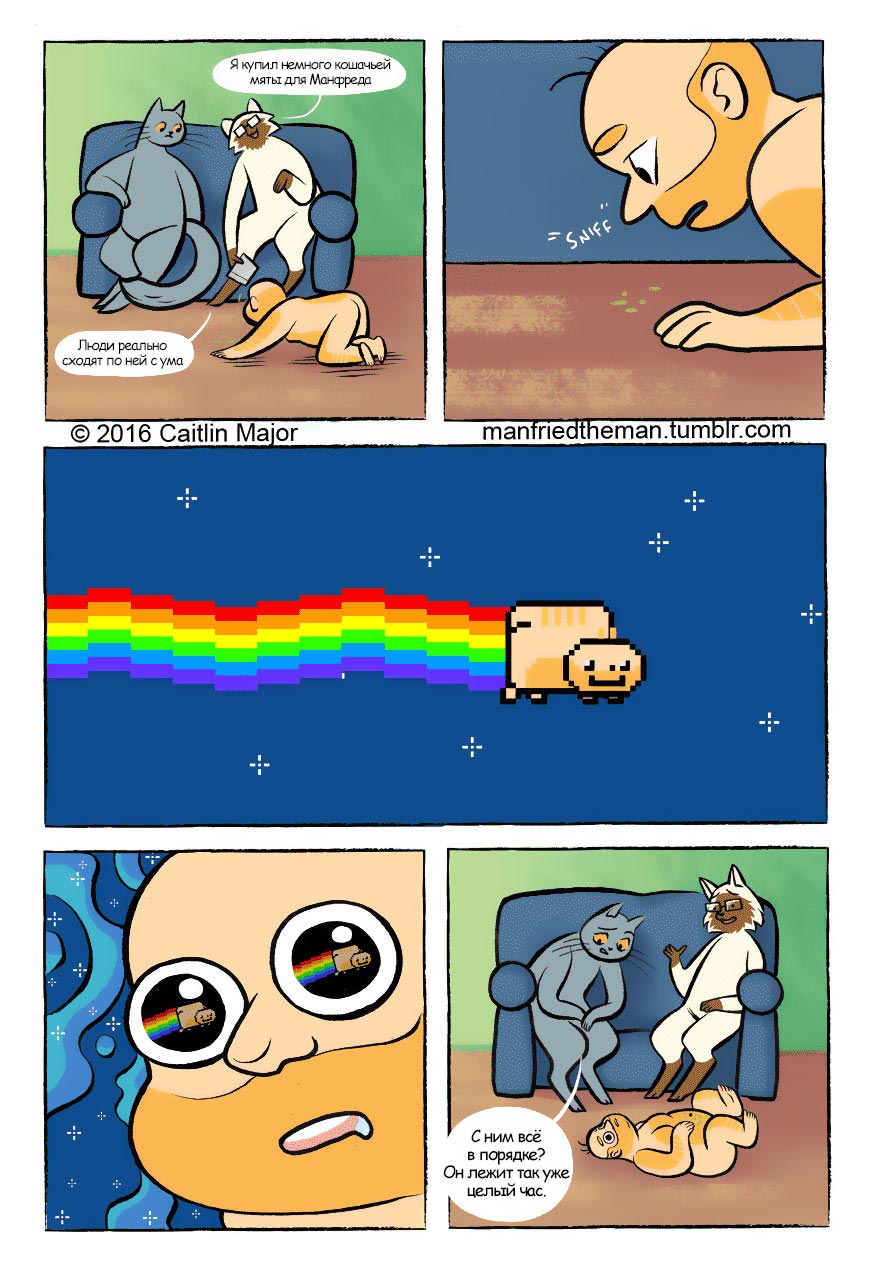 если бы кошки и люди поменялись местами, Manfried the Man, Человек по имени Манфред, Кейтлин Мейджор, Caitlin Major