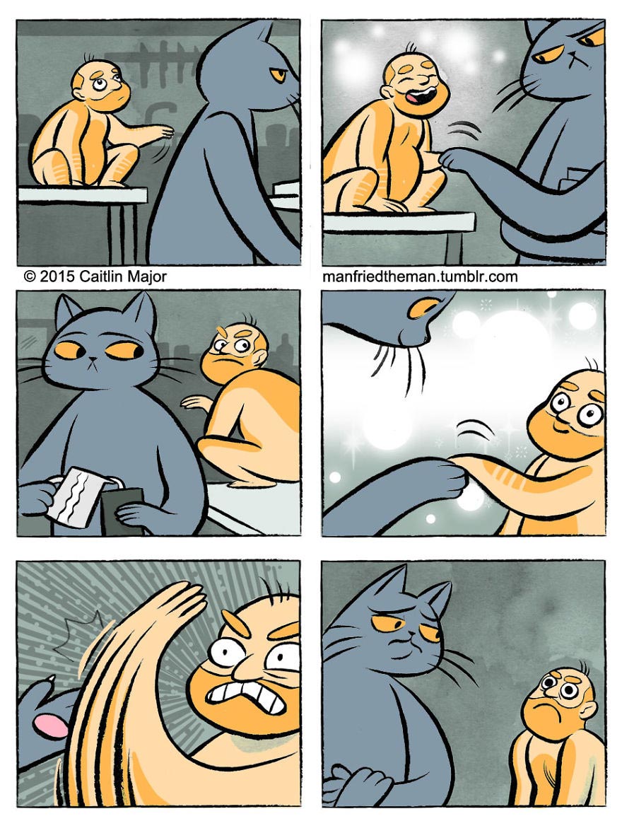 если бы кошки и люди поменялись местами, Manfried the Man, Человек по имени Манфред, Кейтлин Мейджор, Caitlin Major