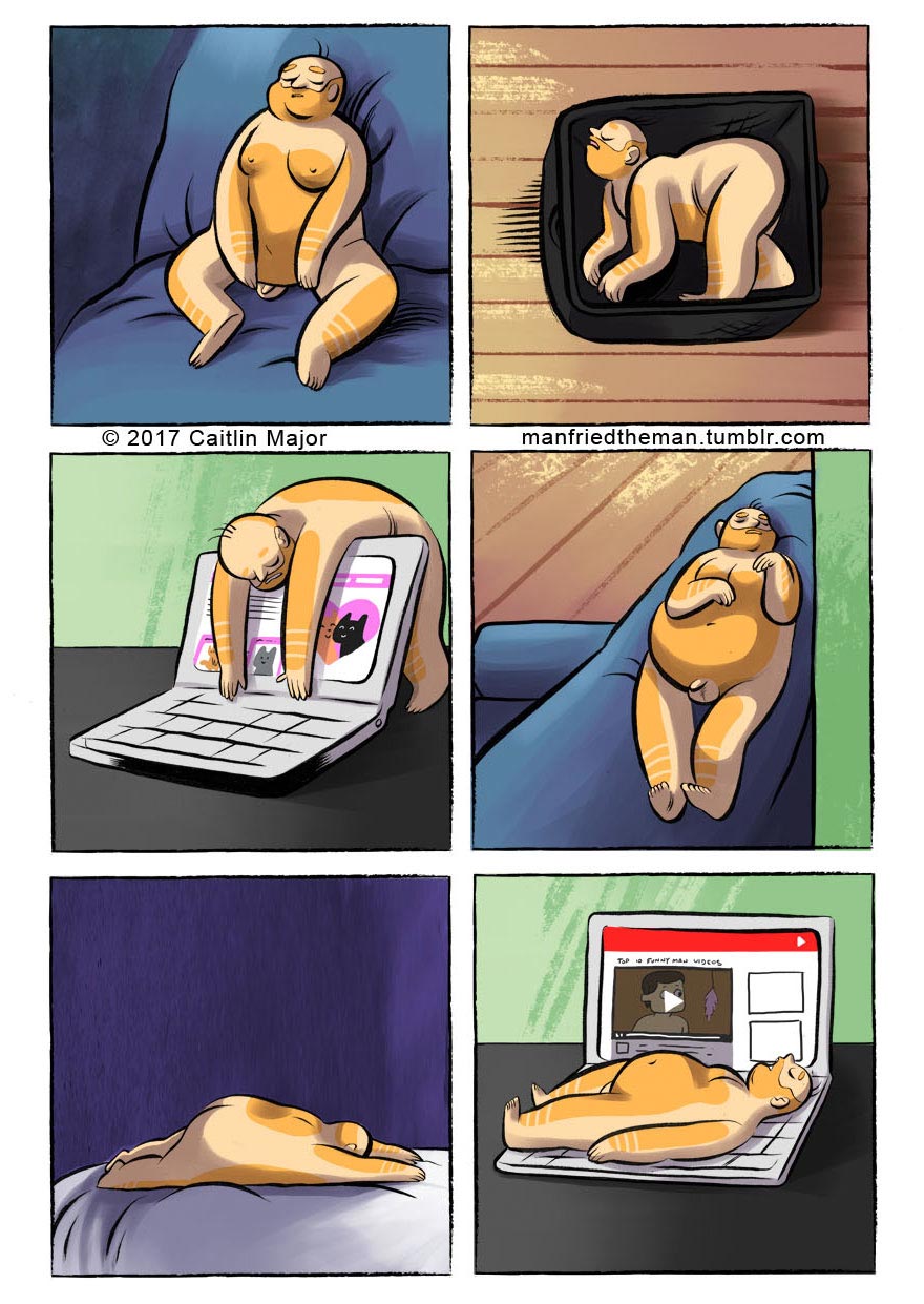 если бы кошки и люди поменялись местами, Manfried the Man, Человек по имени Манфред, Кейтлин Мейджор, Caitlin Major