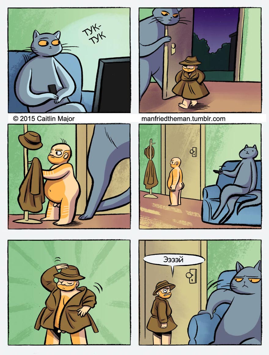 если бы кошки и люди поменялись местами, Manfried the Man, Человек по имени Манфред, Кейтлин Мейджор, Caitlin Major