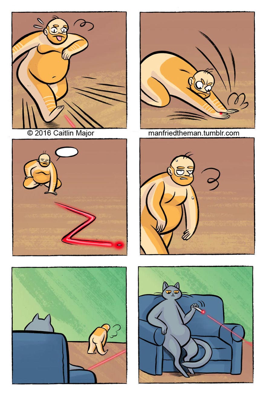 если бы кошки и люди поменялись местами, Manfried the Man, Человек по имени Манфред, Кейтлин Мейджор, Caitlin Major