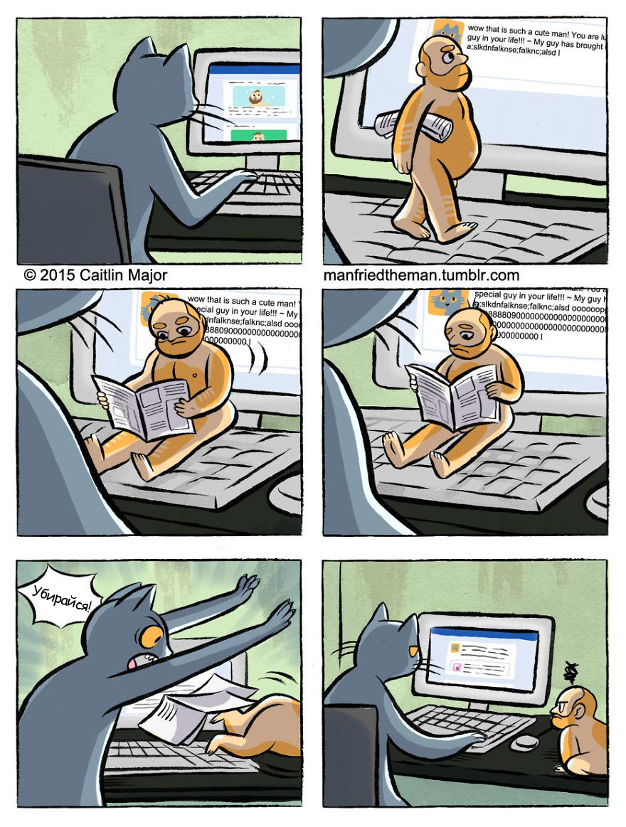 если бы кошки и люди поменялись местами, Manfried the Man, Человек по имени Манфред, Кейтлин Мейджор, Caitlin Major