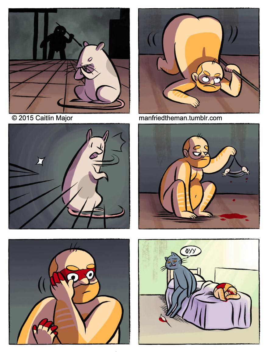 если бы кошки и люди поменялись местами, Manfried the Man, Человек по имени Манфред, Кейтлин Мейджор, Caitlin Major