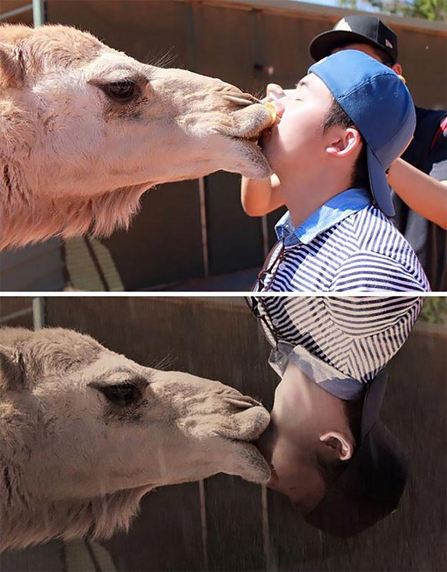 фотошоперы затроллили, смешной фотошоп, фотожабы