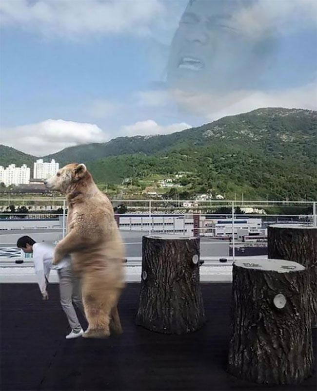 фотошоперы затроллили, смешной фотошоп, фотожабы