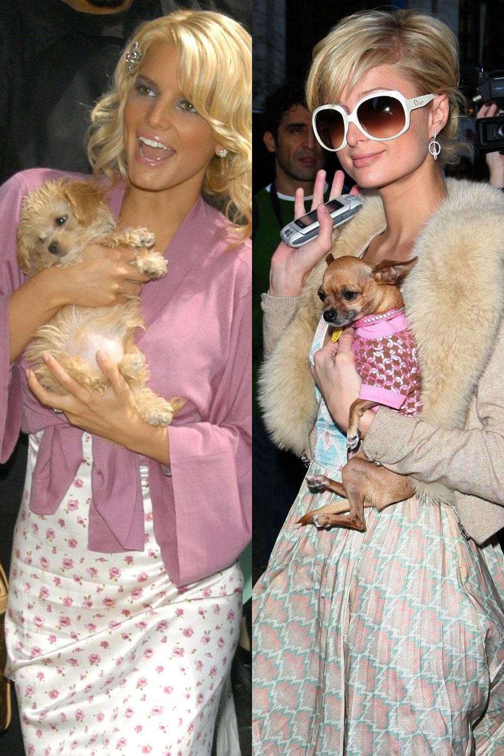 Безумная мода 20-го века, мода 20 века, булавки в щеках