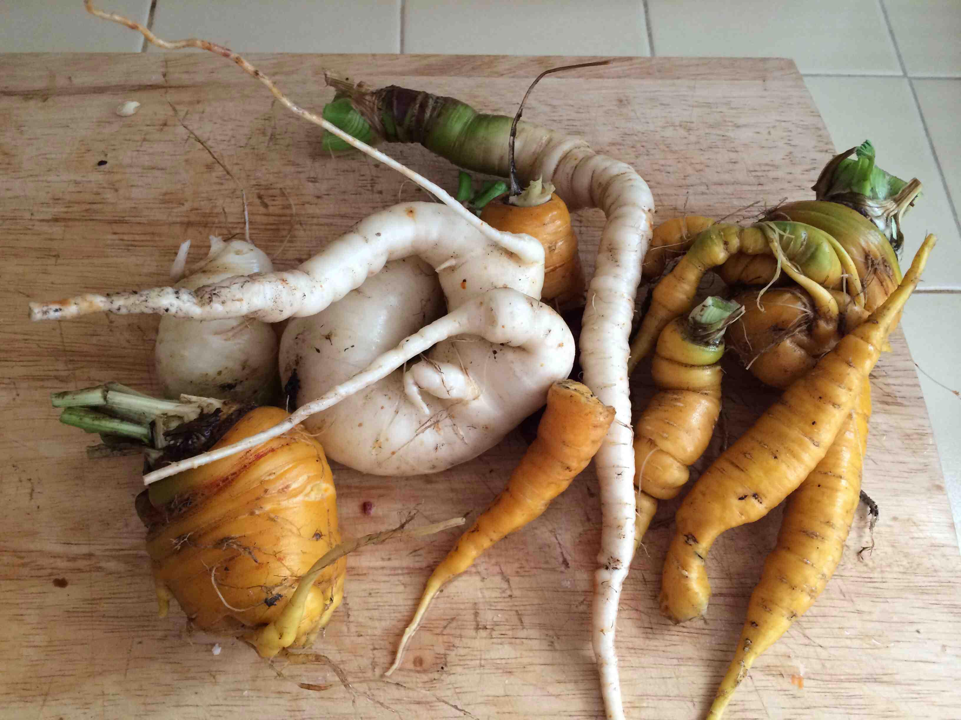 Причудливые овощи, пугающие овощи