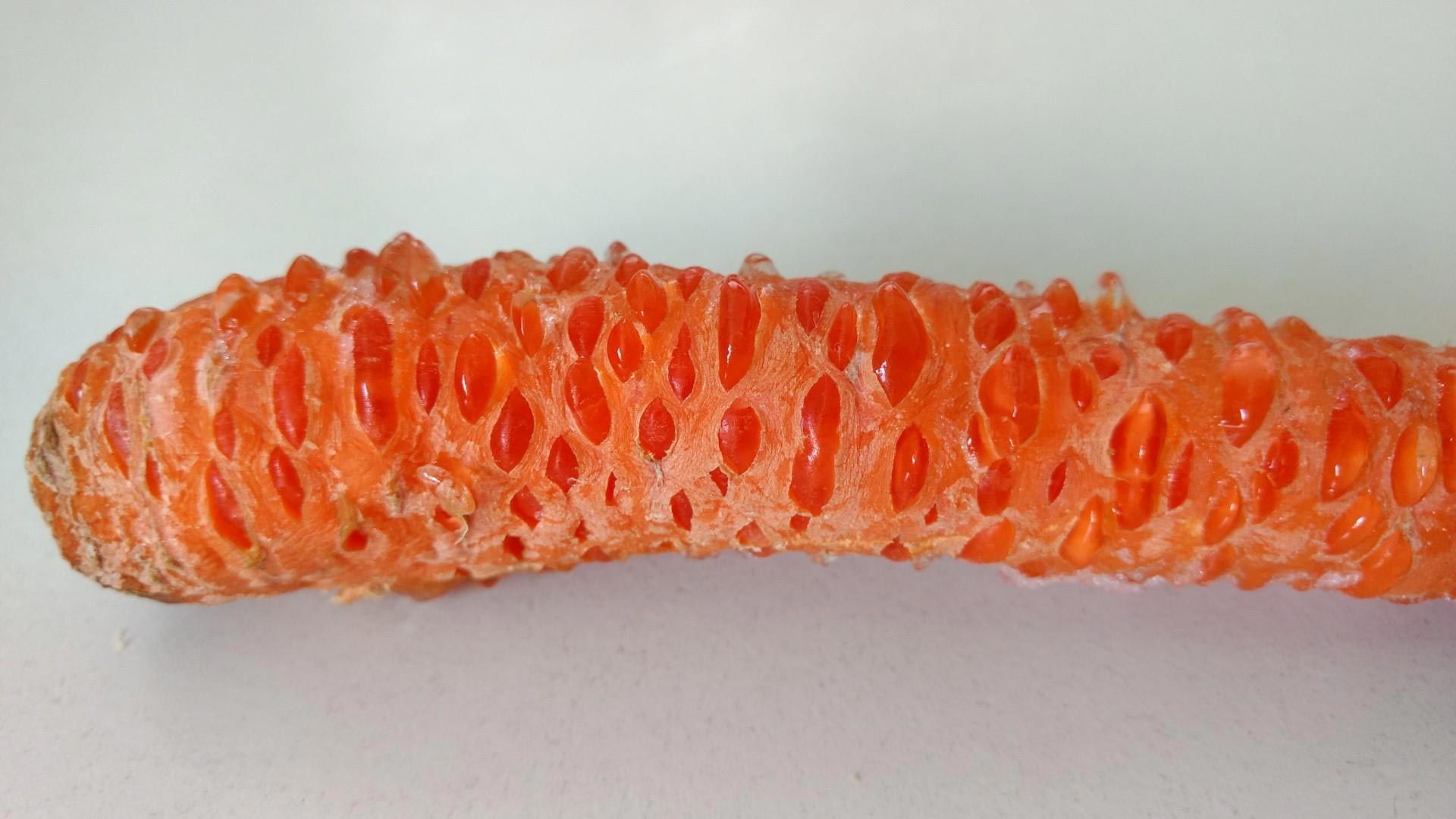 Причудливые овощи, пугающие овощи