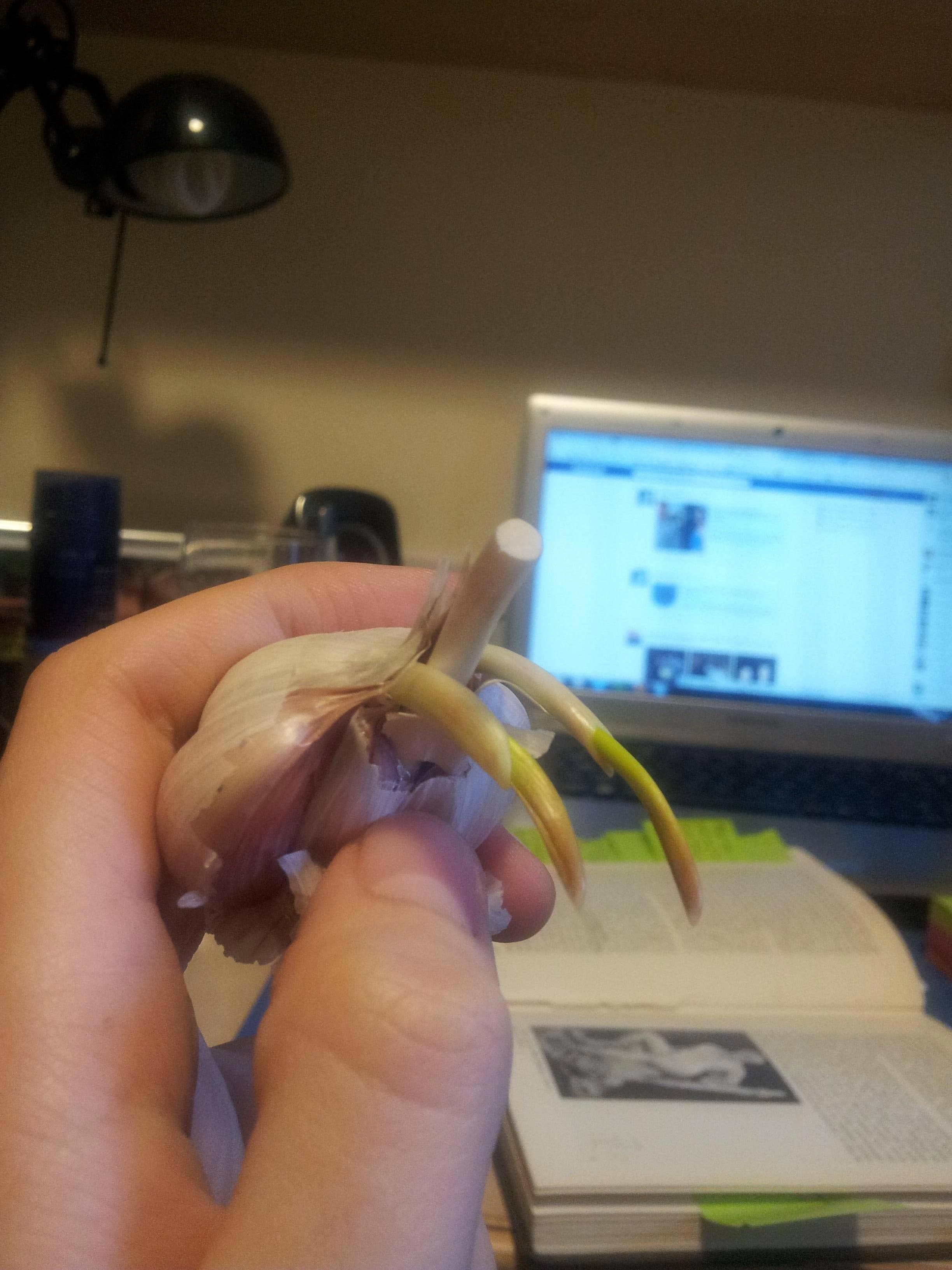 Причудливые овощи, пугающие овощи