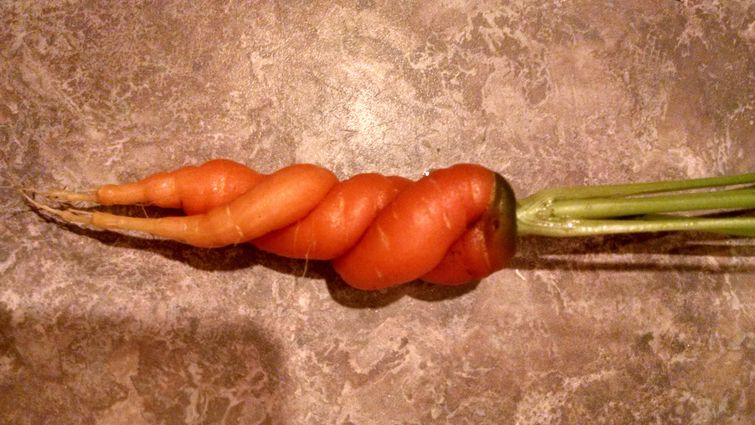 Причудливые овощи, пугающие овощи