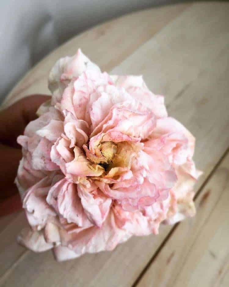 творческие торты, креативные торты, необычные торты фото, торт космос