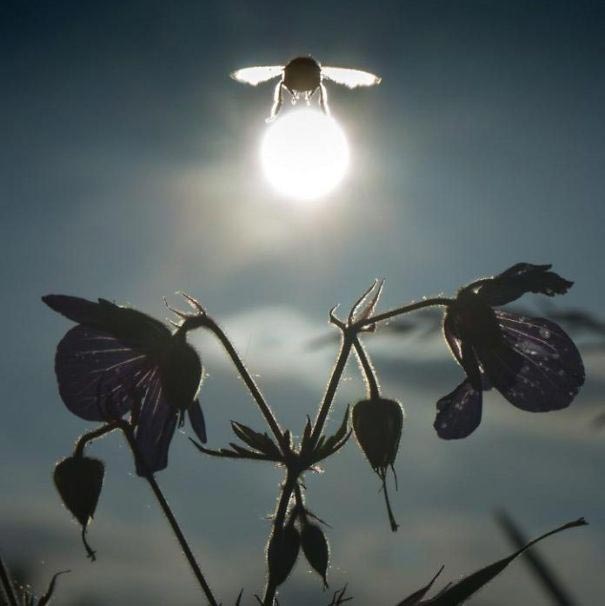 фотографии сделанные в нужный момент, снимки сделанные в нужное время