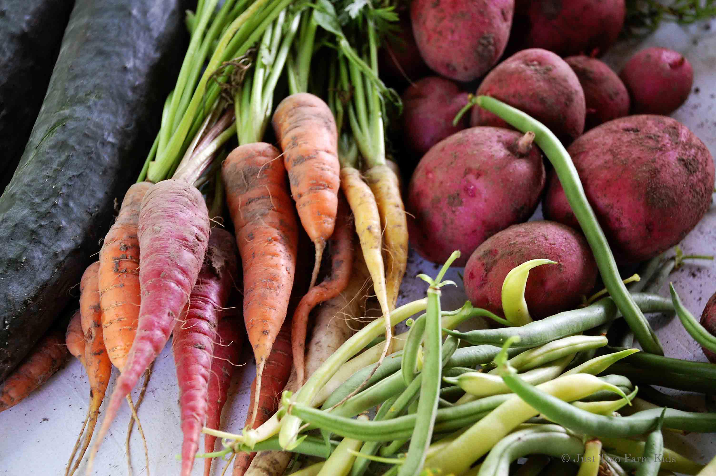 Можно ли овощи в пост. 8 Овощей. Harvest Vegetables. Можно ли вернуть овощи в магазин. Полезна ли морковь которая горчит.