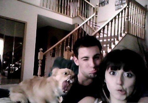 животные ненавидят женщин, животные против женщин